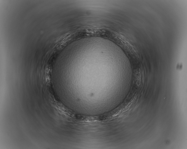 X0000097840770200803281223
