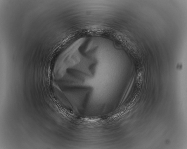 X0000097840772200803281223