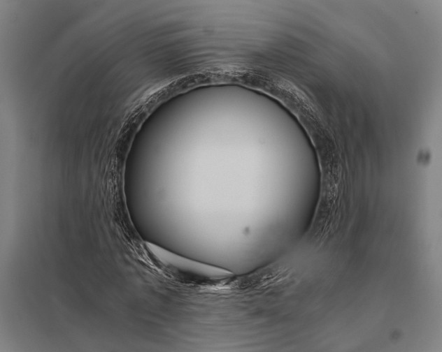 X0000097840773200803281223