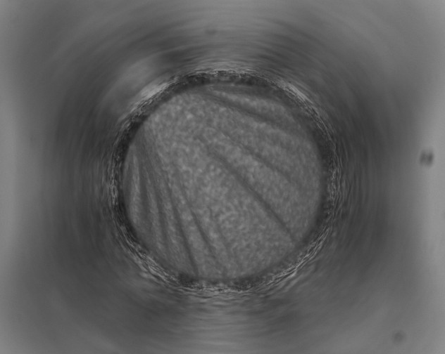 X0000097840774200803281223