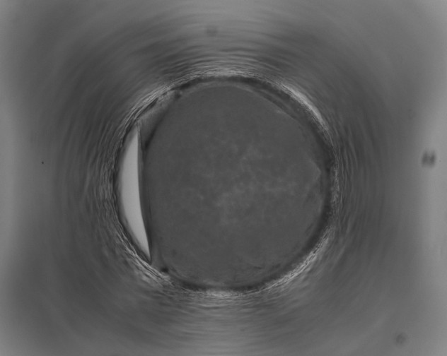 X0000097840777200803281223