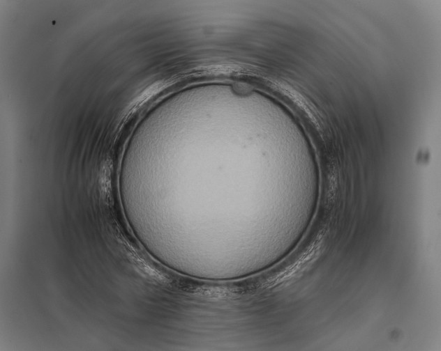 X0000097840778200803281223