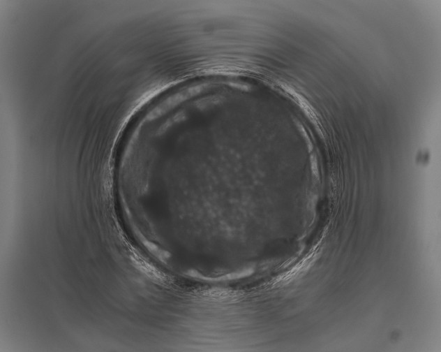 X0000097840779200803281223