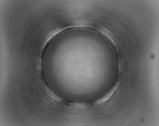 X0000097840781200803281223
