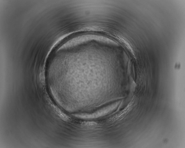 X0000097840784200803281223