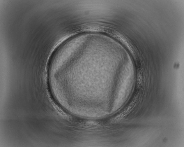 X0000097840787200803281223