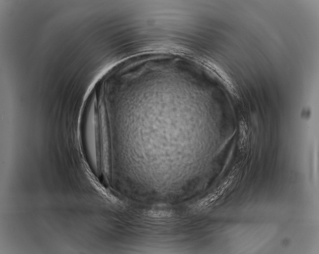X0000097840788200803281223