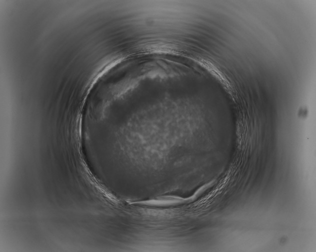 X0000097840790200803281223