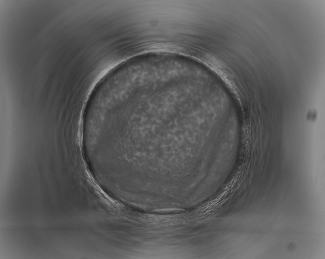 X0000097840791200803281223