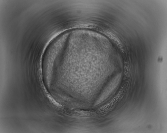 X0000097840792200803281223
