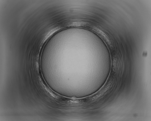 X0000097840794200803281223