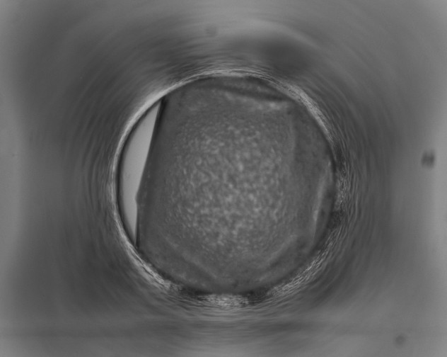 X0000097840795200803281223