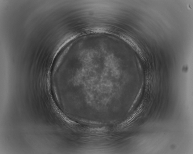 X0000097840798200803281223