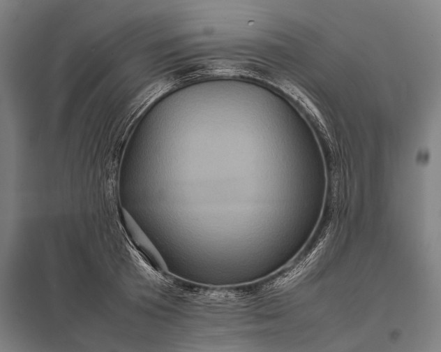 X0000097840801200803281223