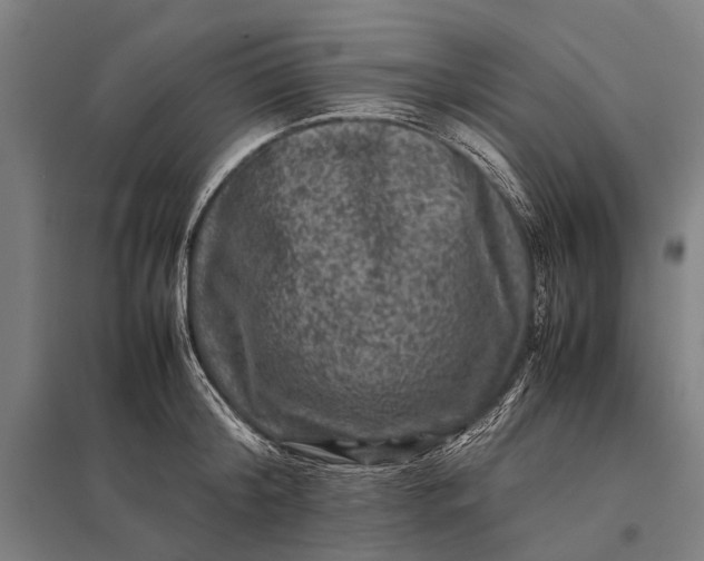 X0000097840804200803281223