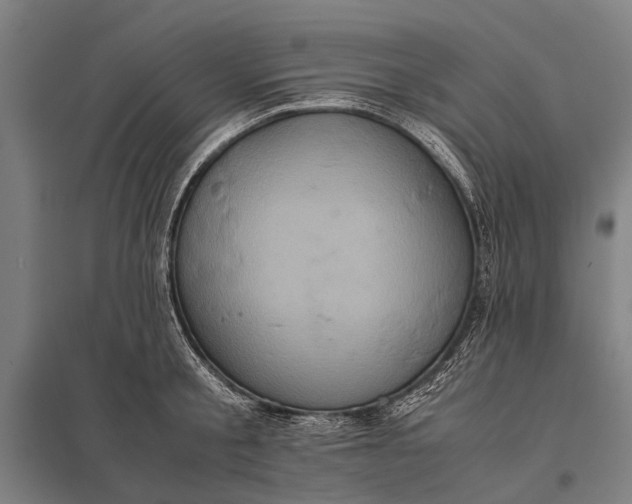 X0000097840805200803281223