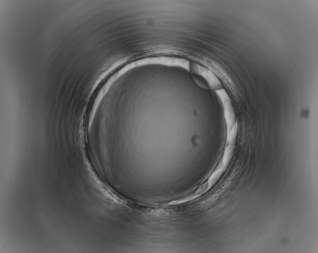 X0000097840806200803281223