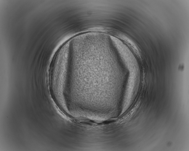 X0000097840808200803281222
