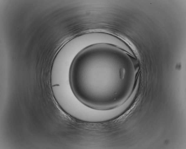 X0000097840809200803281222