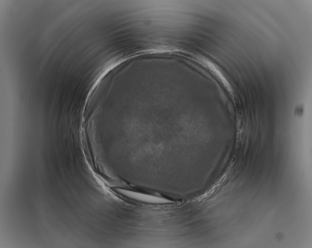 X0000097840810200803281222