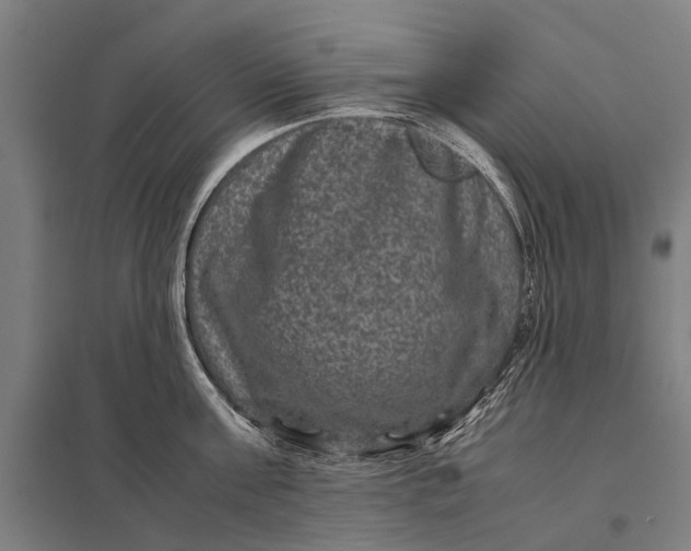 X0000097840811200803281222