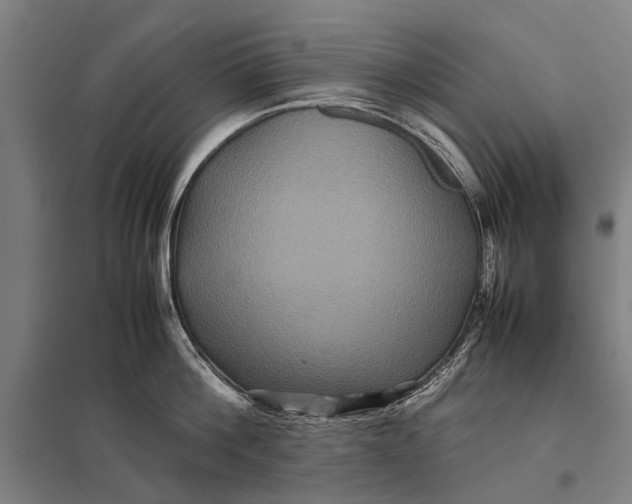X0000097840812200803281222