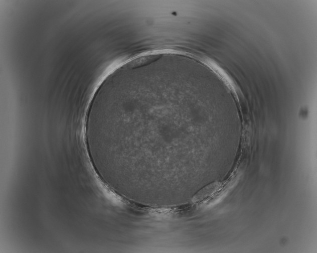X0000097840813200803281222