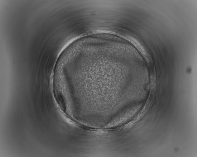 X0000097840814200803281222