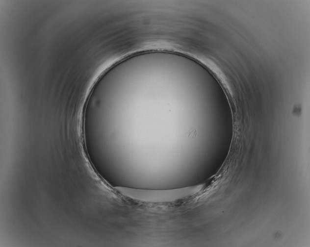 X0000097840815200803281222