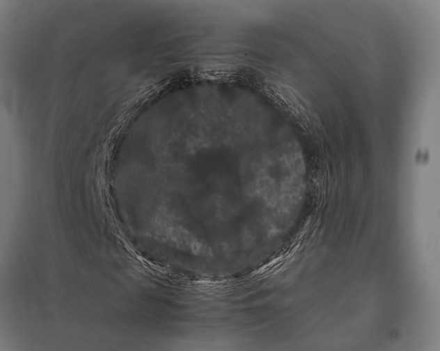X0000097840817200803281222
