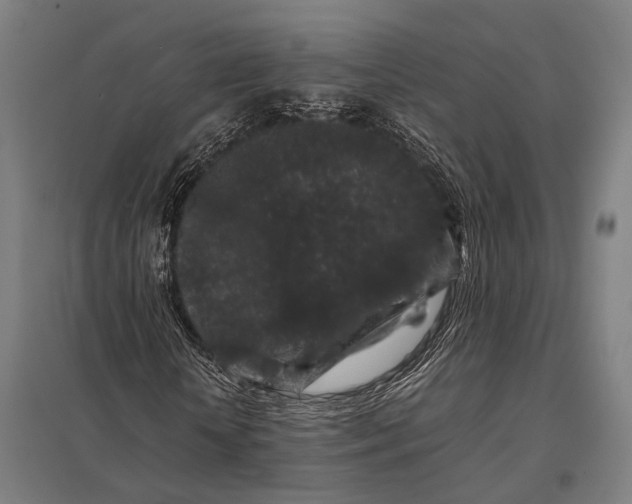 X0000097840818200803281222