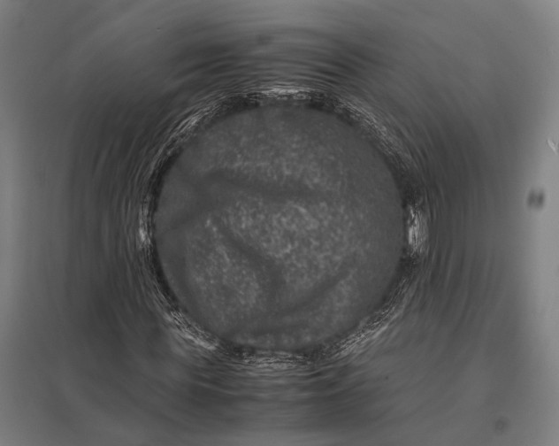 X0000097840819200803281222