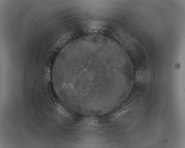 X0000097840820200803281222