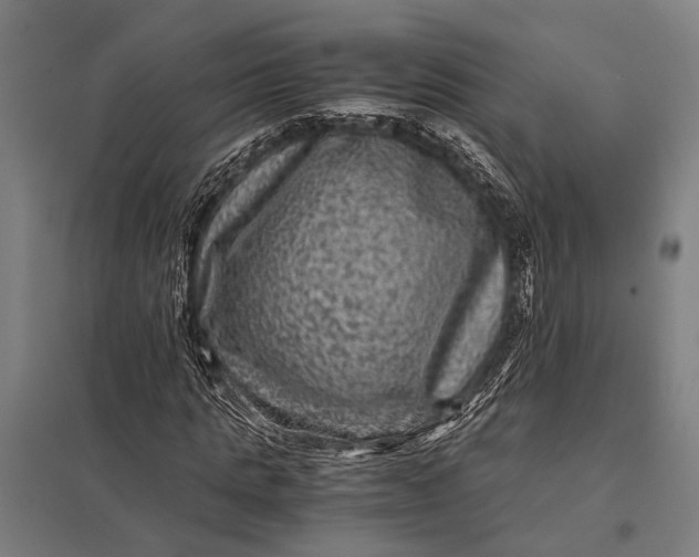 X0000097840821200803281222