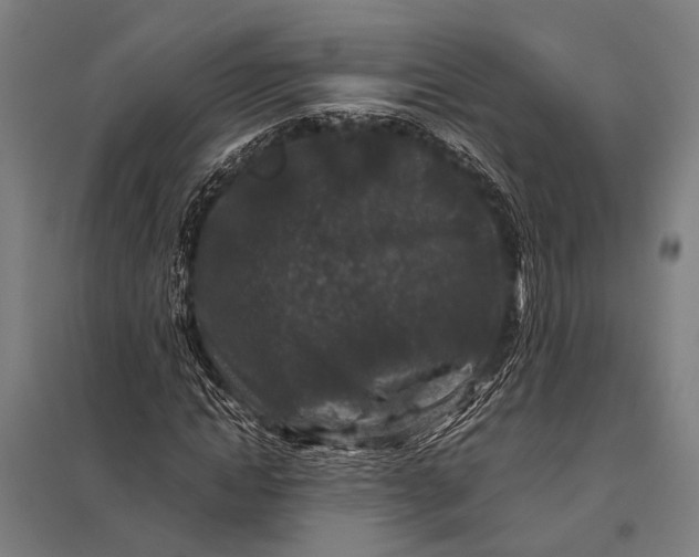 X0000097840822200803281222