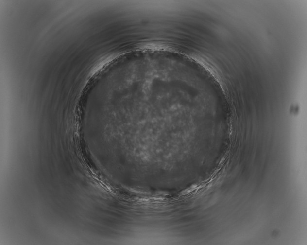 X0000097840823200803281222