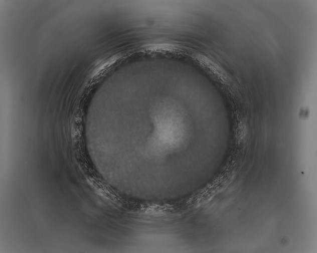 X0000097840824200803281222