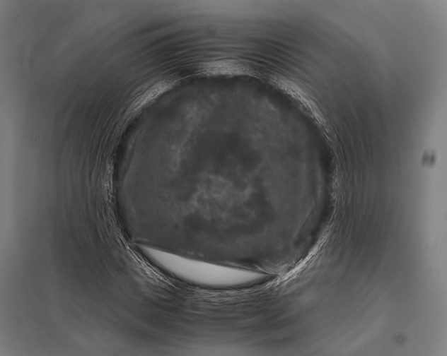X0000097840825200803281222