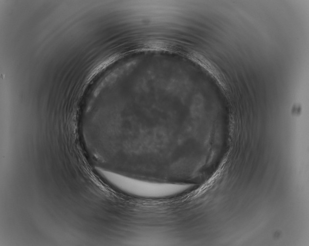 X0000097840826200803281222