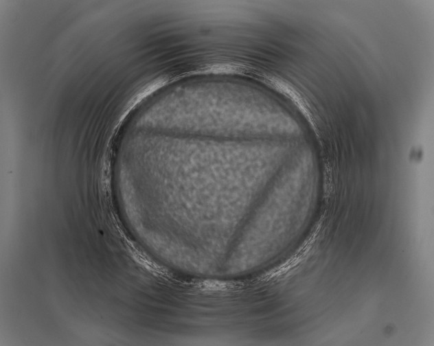 X0000097840827200803281222