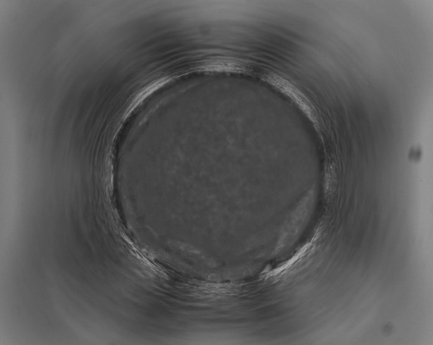 X0000097840829200803281222