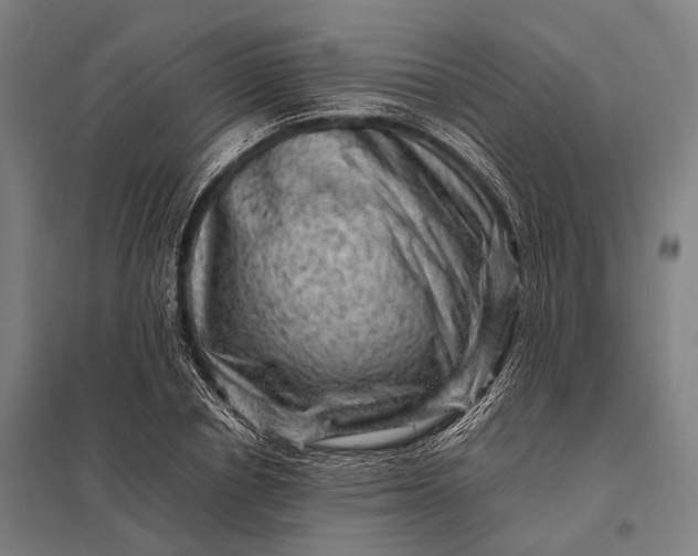 X0000097840834200803281222