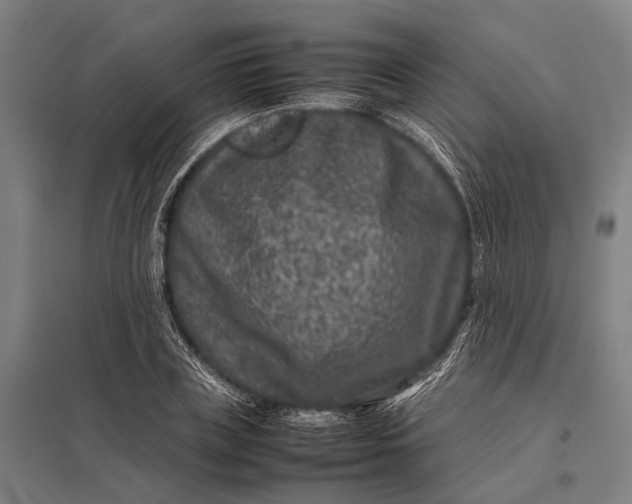 X0000097840835200803281222