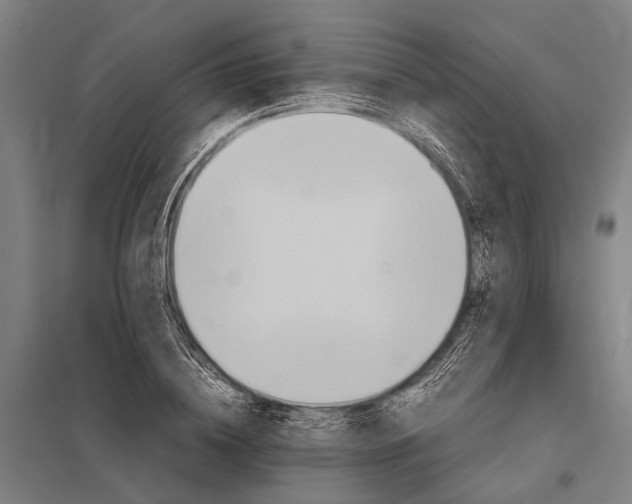 X0000097840836200803281222