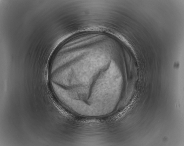 X0000097840838200803281222