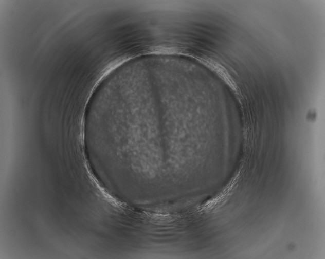 X0000097840839200803281222