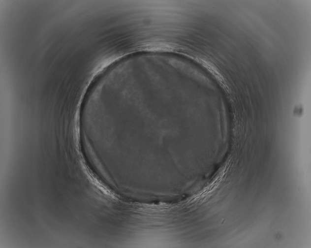 X0000097840840200803281222