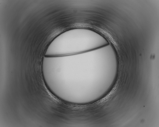 X0000097840841200803281222