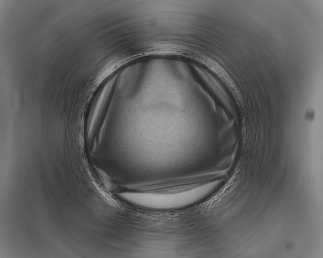 X0000097840842200803281222