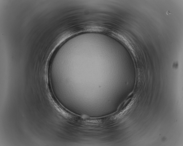 X0000097840843200803281222